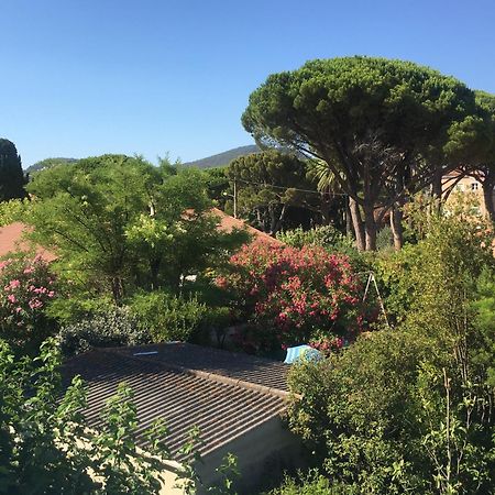 Studio cosy proche mer Saint-Cyr-sur-Mer Eksteriør bilde