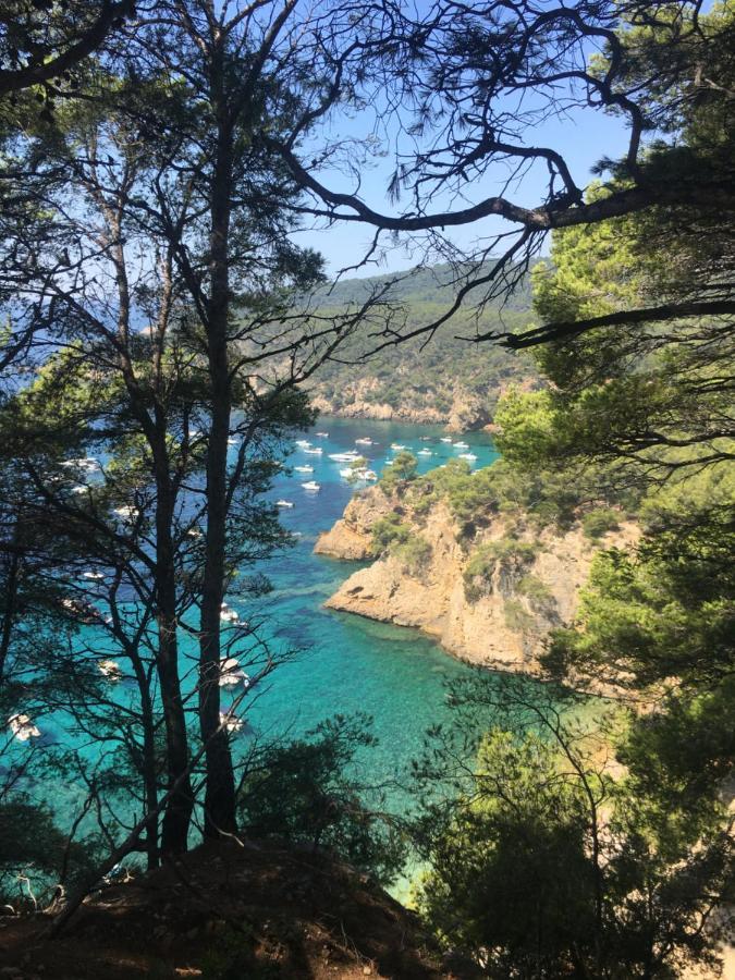 Studio cosy proche mer Saint-Cyr-sur-Mer Eksteriør bilde