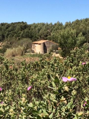 Studio cosy proche mer Saint-Cyr-sur-Mer Eksteriør bilde