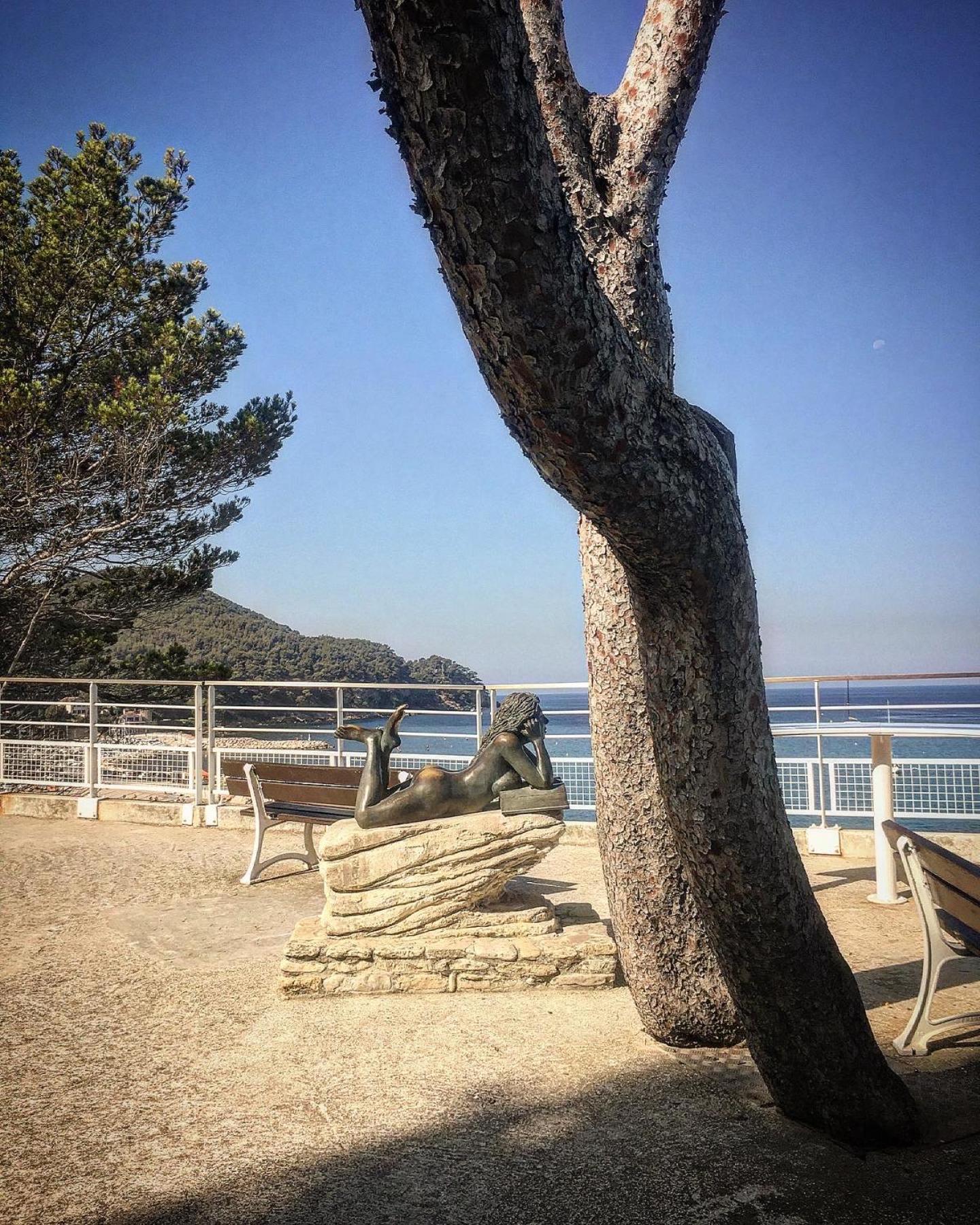 Studio cosy proche mer Saint-Cyr-sur-Mer Eksteriør bilde